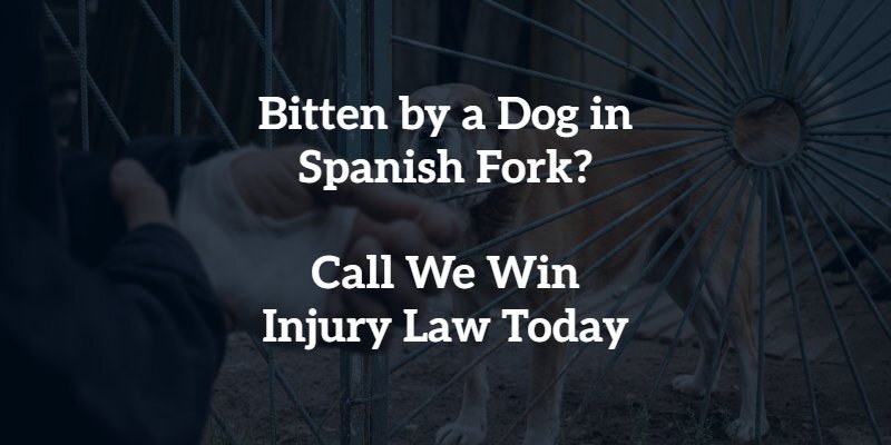 Spanish Fork Dog Bite Lawyer