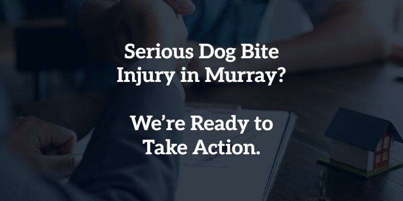serious dog bite injury in murray? we're ready to take action